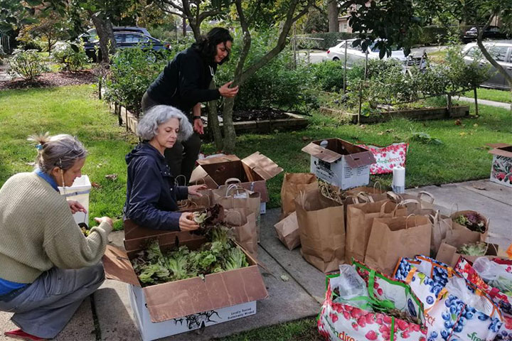 Organizing food for Share My Meals